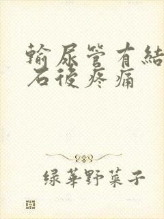 输尿管有结石碎石后疼痛