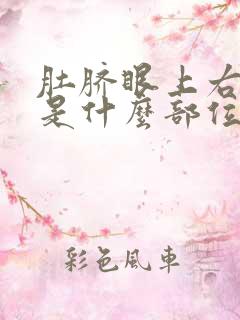 肚脐眼上右边疼是什么部位