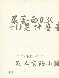 尿蛋白0.3(+1)是什么意思