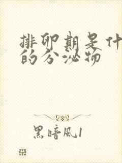 排卵期是什么样的分泌物