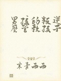 男孩的叛逆期怎么管教孩子