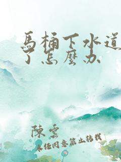 马桶下水道堵住了怎么办