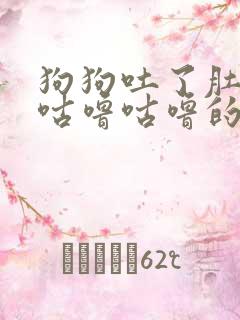 狗狗吐了肚子还咕噜咕噜的怎么办