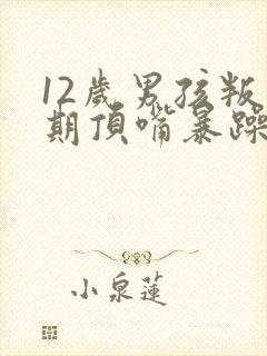 12岁男孩叛逆期顶嘴暴躁发脾气