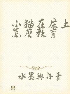 小猫在床上拉尿怎么教育