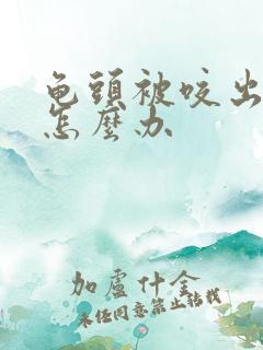 龟头被咬出血了怎么办