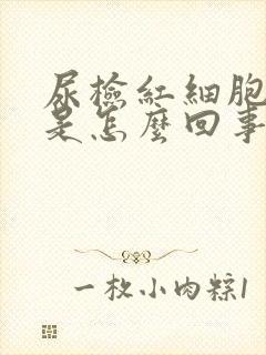 尿检红细胞28是怎么回事