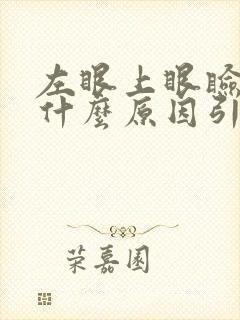 左眼上眼睑肿是什么原因引起的