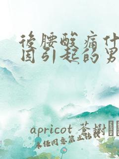 后腰酸痛什么原因引起的男性