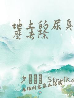 地上的尿臭味怎么去除