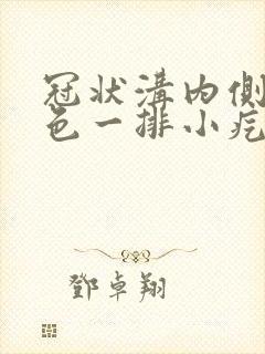 冠状沟内侧 肉色一排小疙瘩