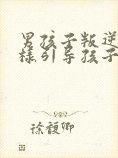 男孩子叛逆期怎样引导孩子