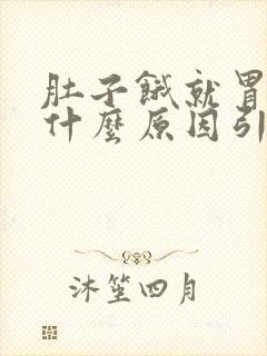 肚子饿就胃酸是什么原因引起的