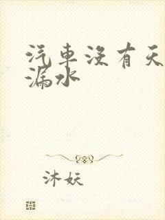 汽车没有天窗还漏水