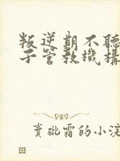 叛逆期不听话孩子管教机构