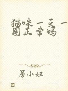 猫咪一天一个尿团正常吗