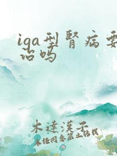 iga型肾病要治吗