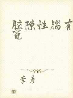 腔隙性脑有梗塞灶