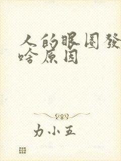 人的眼圈发黑是啥原因