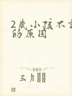 2岁小孩不说话的原因