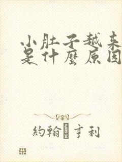 小肚子越来越胖是什么原因