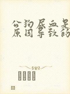 公狗尿血是什么原因导致的怎么办