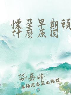 怀孕早期头晕是什么原因