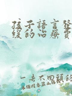 孩子语言发育迟缓的治疗费用