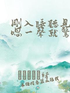 刚入睡听见自己嗯一声就惊醒了