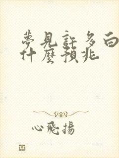 梦见许多白兔子什么预兆