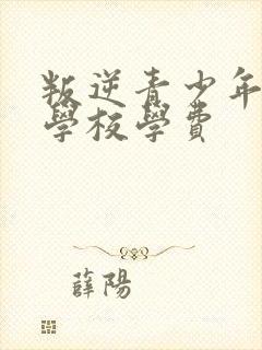 叛逆青少年封闭学校学费