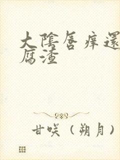 大阴唇痒还有豆腐渣