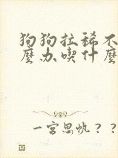 狗狗拉稀不吃怎么办吃什么药