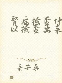 肾病检查什么可以检查出来