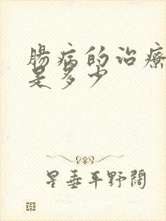 肠病的治疗费用是多少