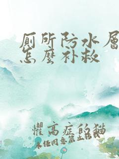 厕所防水层渗水怎么补救