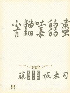 小猫吐的黄水里有细长的虫子