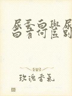 尿蛋白与尿白蛋白有何区别