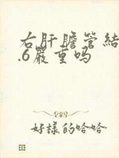 右肝胆管结石0.6严重吗