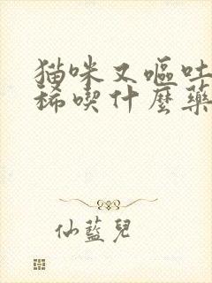 猫咪又呕吐又拉稀吃什么药