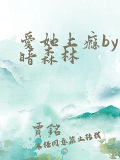 爱她上瘾by黑暗森林