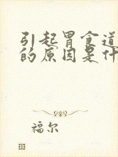 引起胃食道反流的原因是什么