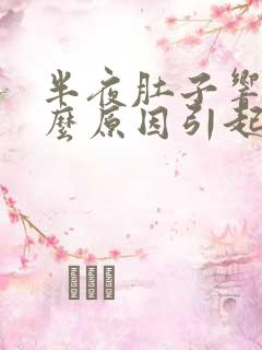 半夜肚子响是什么原因引起的