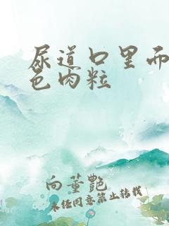 尿道口里面长白色肉粒