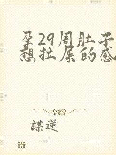 孕29周肚子疼想拉屎的感觉