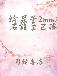 输尿管2mm结石能自己排出去吗