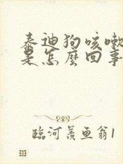 泰迪狗咳嗽干呕是怎么回事