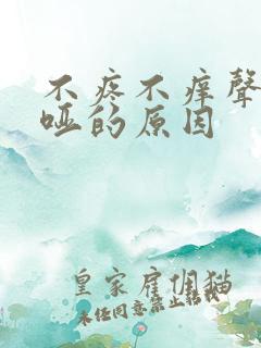 不疼不痒声音嘶哑的原因