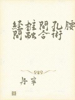 经椎间孔腰椎椎间融合术