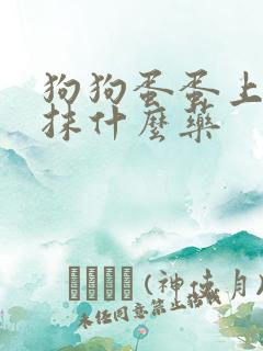 狗狗蛋蛋上发红抹什么药